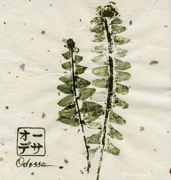 fern leaf rubbing Gyotaku on speckled mulberry paper