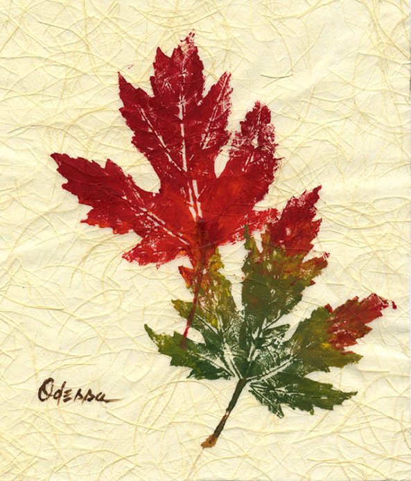 Maple leaf rubbing Gyotaku on Shoji paper
