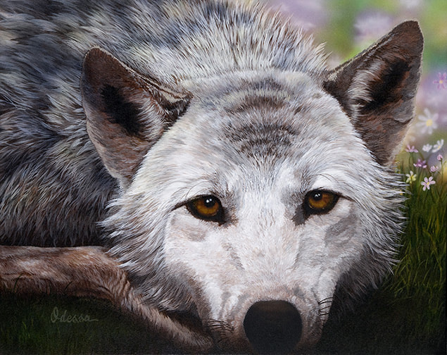 Wolf portrait with spring flowers