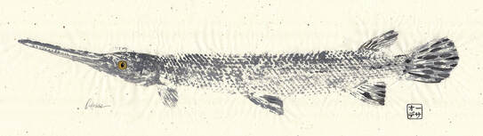Longnose Gar Gyotaku