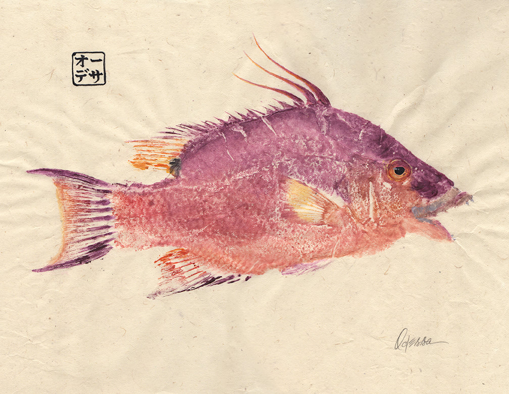 Hogfish Gyotaku on bleached mulberry paper