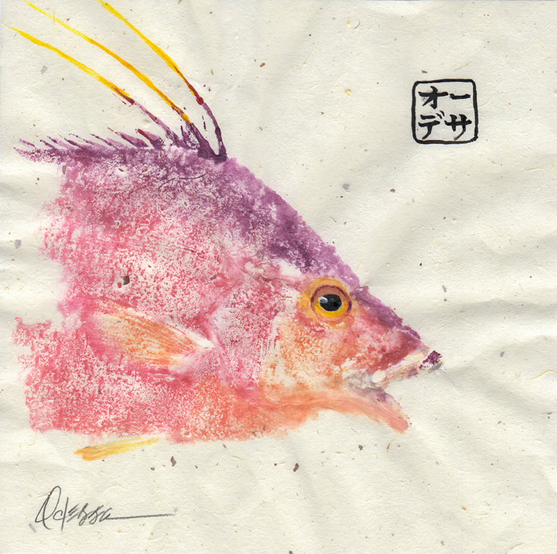 Hogfish Gyotaku head only on speckled mulberry paper