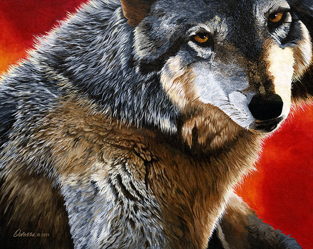 Wolf with red background, acrylic on canvas