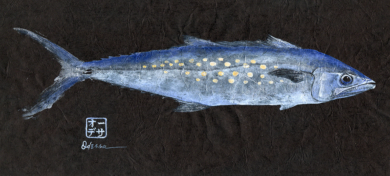 silver, gold and blue Spanish mackerel Gyotaku on black mulberry paper